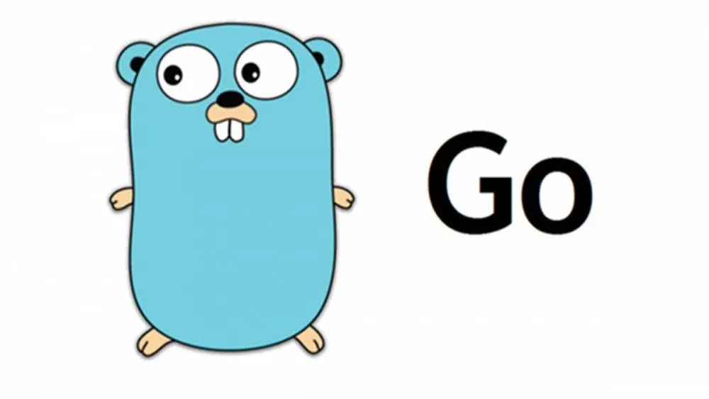 Why did I start programming in Golang?